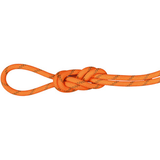 Mammut8.0 Alpine Dry Climbing Rope