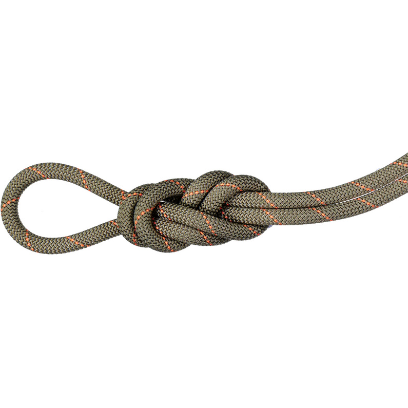 Mammut9.9 Gym Workhorse Classic Climbing Rope