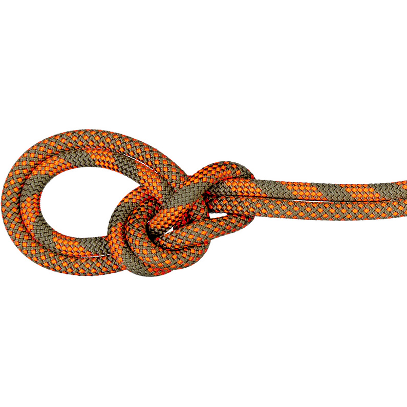 Mammut9.5 Crag Dry Duodess Climbing Rope