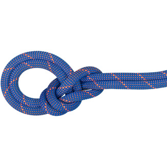 Mammut9.0 Crag Sender Dry Climbing Rope