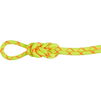 Mammut9.5 Alpine Core Protect Dry Climbing Rope