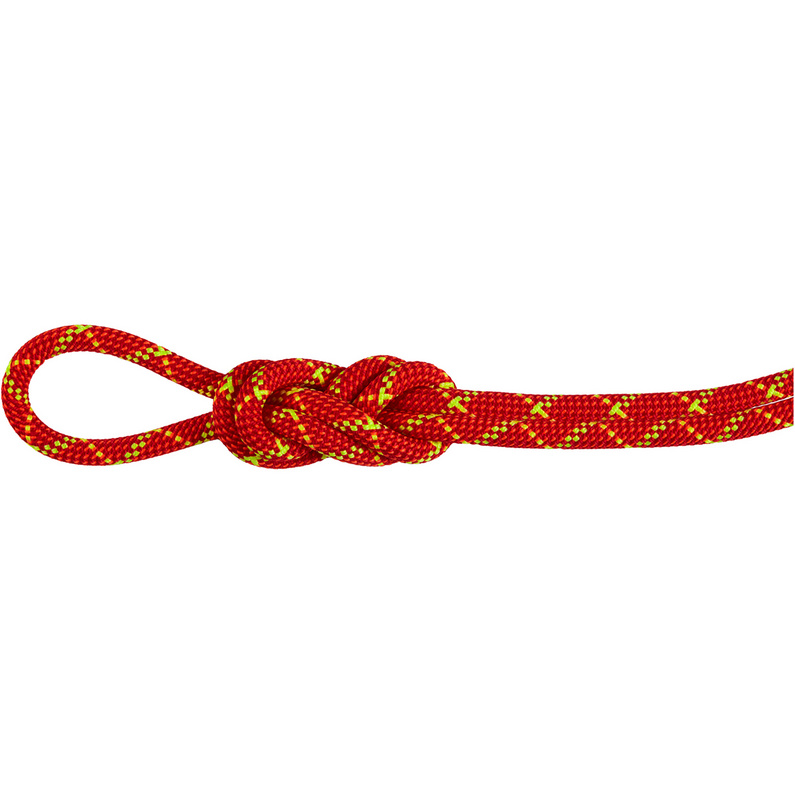 Mammut8.0 Alpine Core Protect Dry Climbing Rope