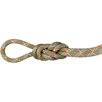 Mammut9.5 Gym Classic Climbing Rope