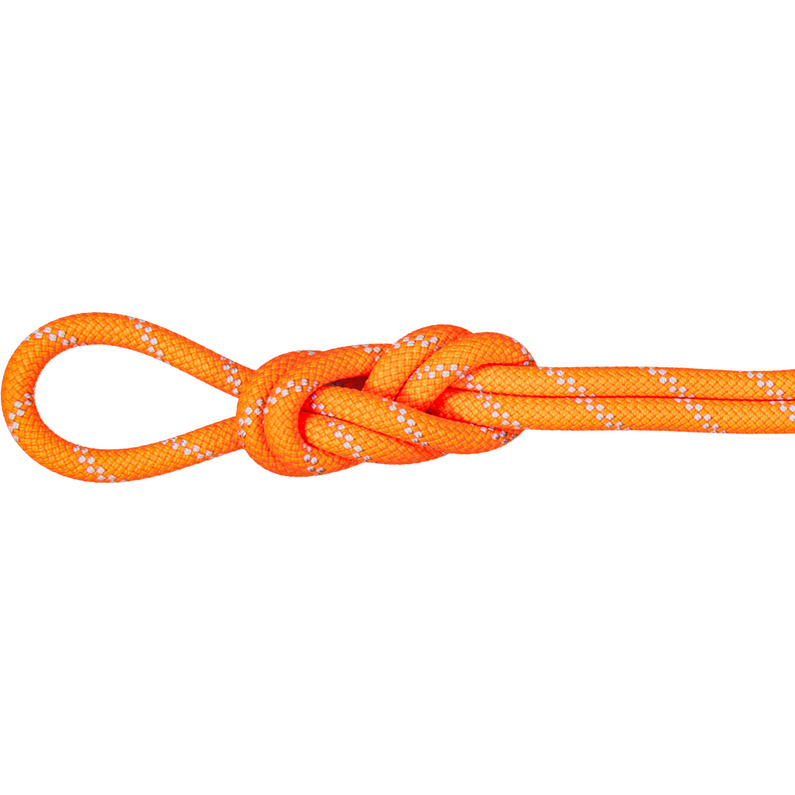 Mammut9.5 Alpine Dry Climbing Rope