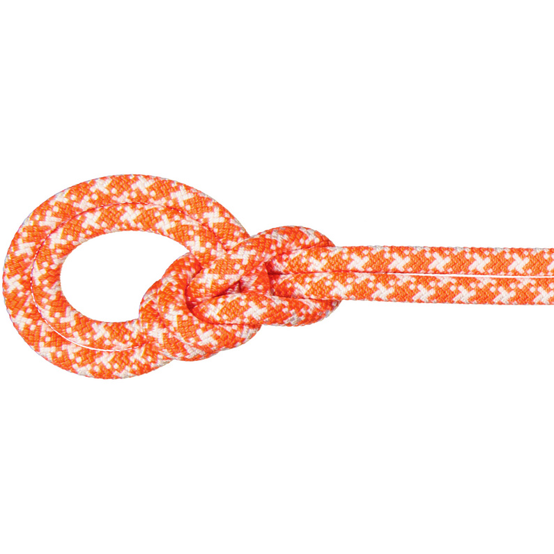 Mammut9.5 Crag Classic Climbing Rope