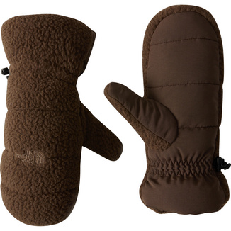 The North FaceMen's Cragmont Fleece Gloves