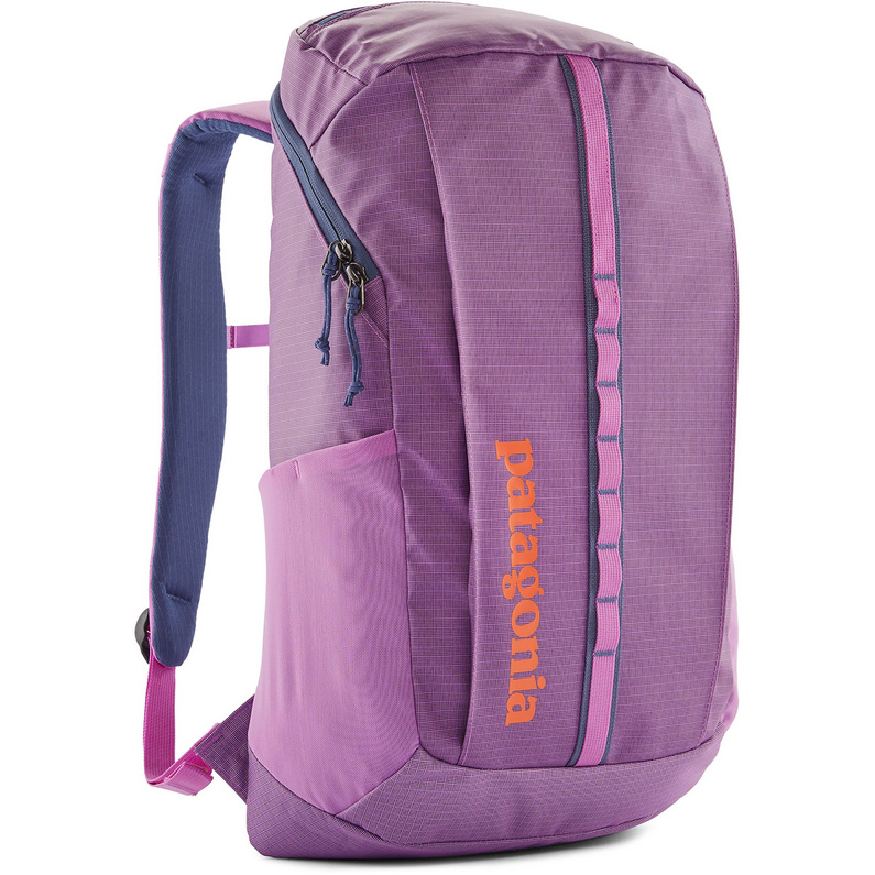 PatagoniaBlack Hole 25L Backpack