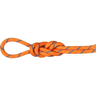 Mammut9.0 Alpine Sender Dry Climbing Rope
