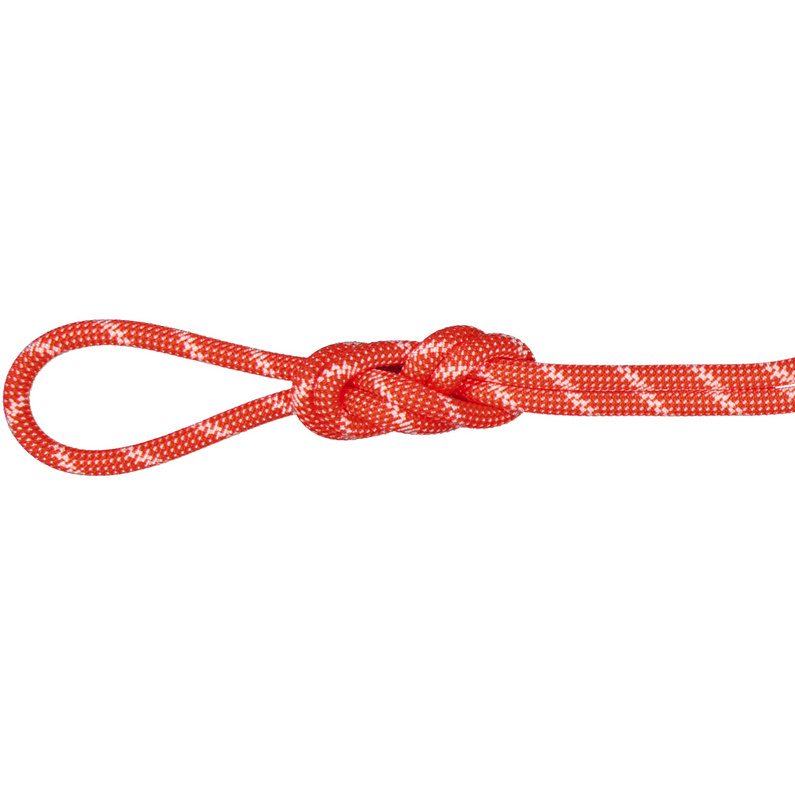 Mammut8.0 Alpine Classic Climbing Rope