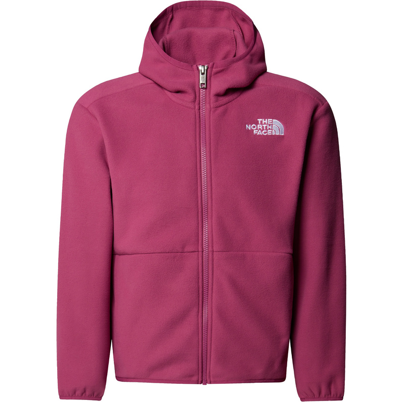 The North FaceKids Teen Glacier Hoodie Jacket