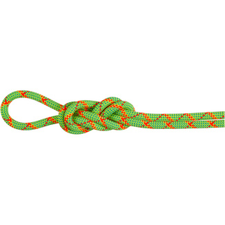 Mammut8.0 Alpine Core Protect Dry Climbing Rope