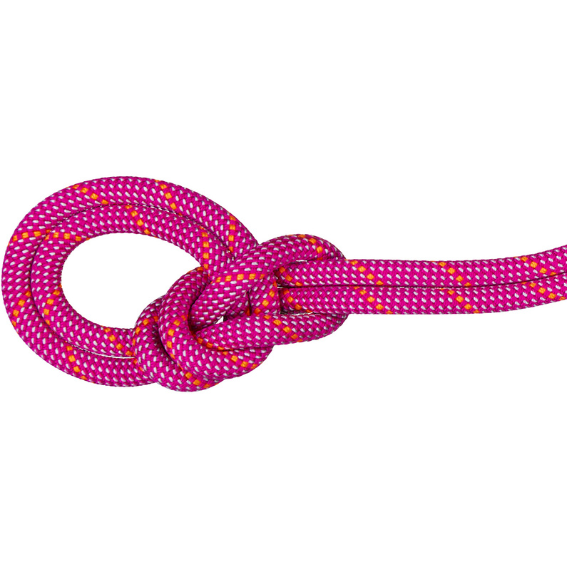 Mammut9.5 Crag Dry Climbing Rope