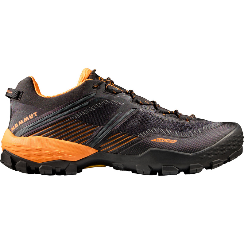 MammutMen's Ducan II Low GTX Shoes
