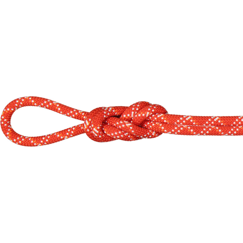Mammut9.5 Gym Classic Climbing Rope