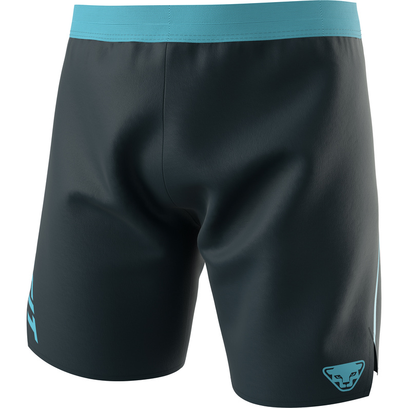 DynafitMen's Alpine Shorts