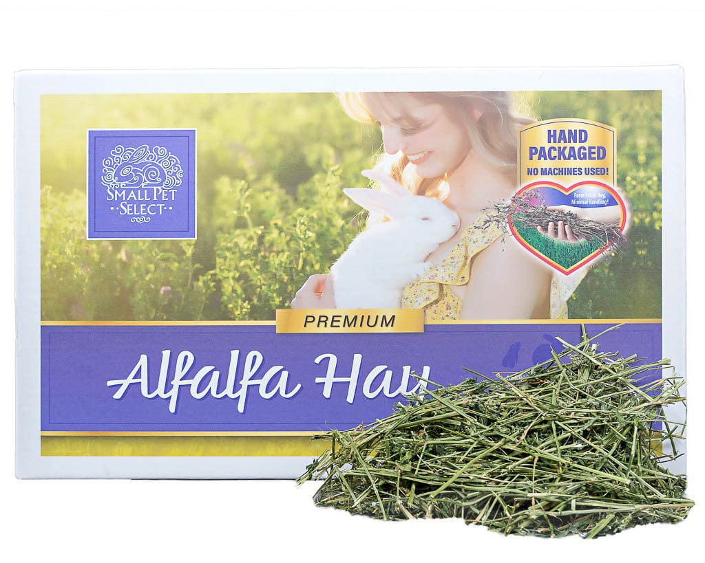 Alfalfa Hay