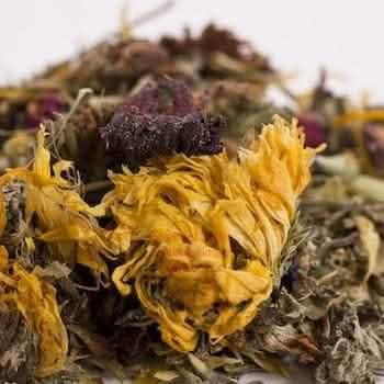 Herbal Sampler - all five herbal blends to try!