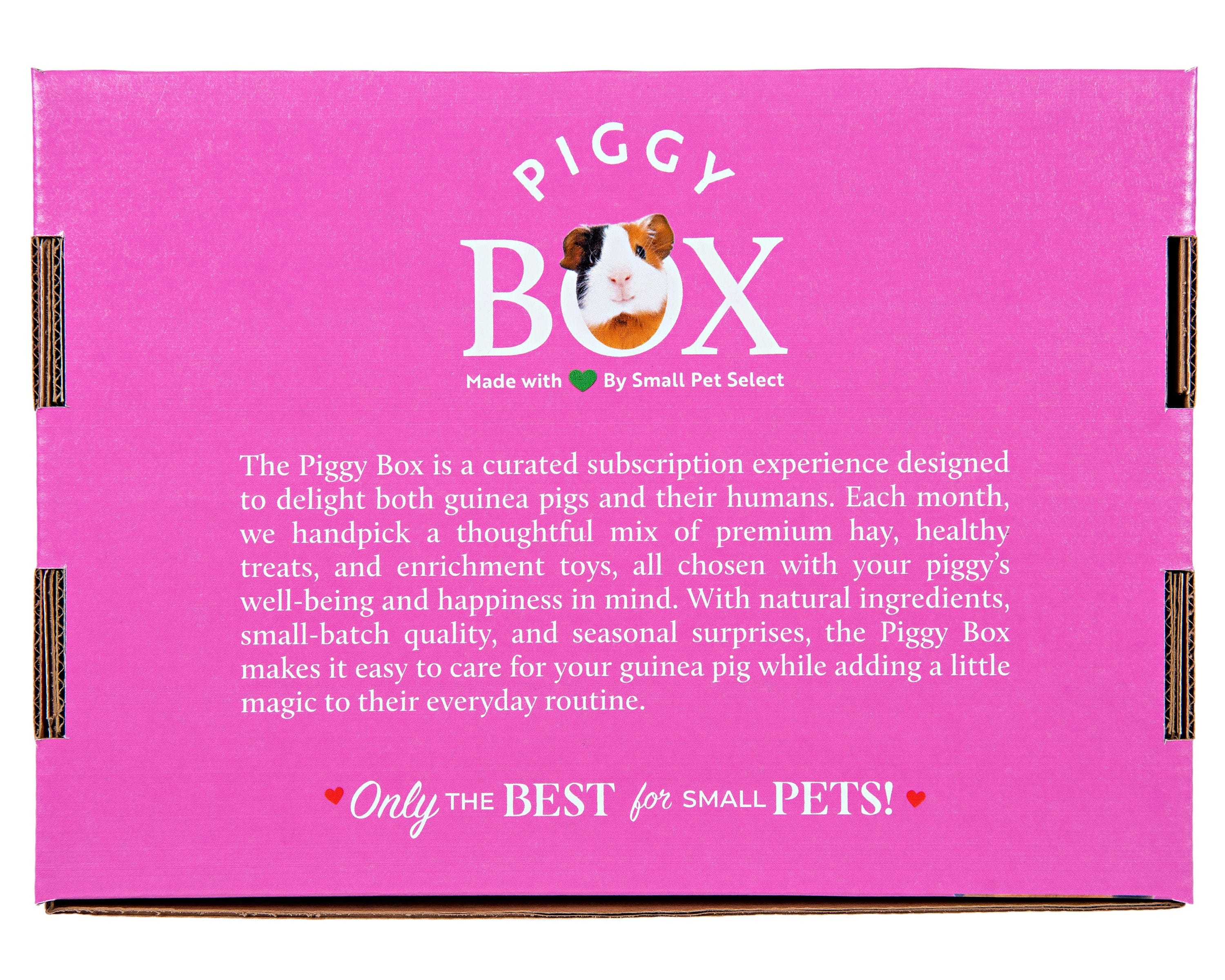 The Piggy Box