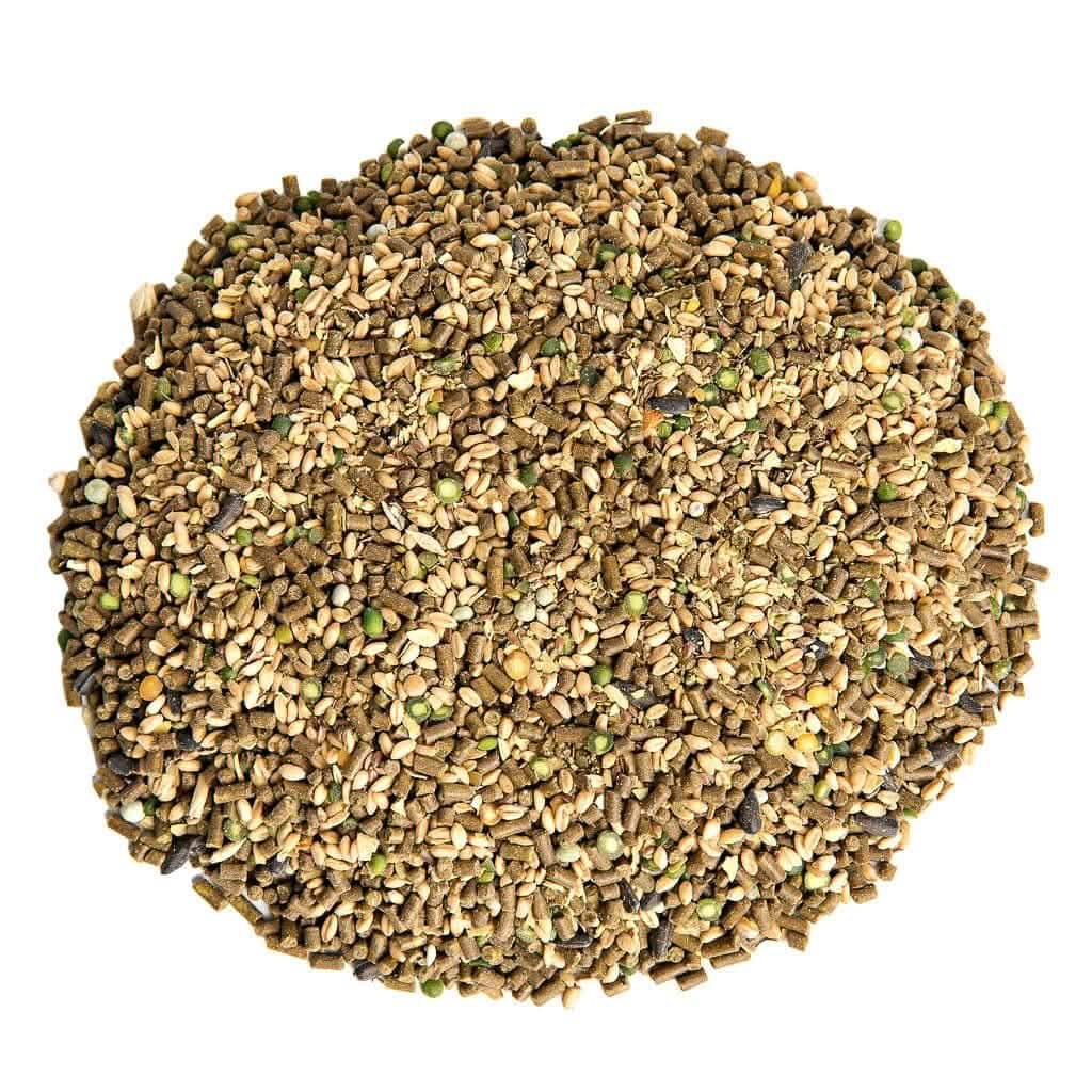 Chicken Layer Feed, Non-GMO, Corn & Soy Free