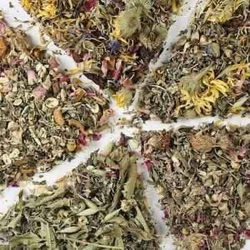 Herbal Sampler - all five herbal blends to try!