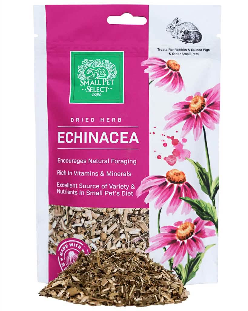 Echinacea