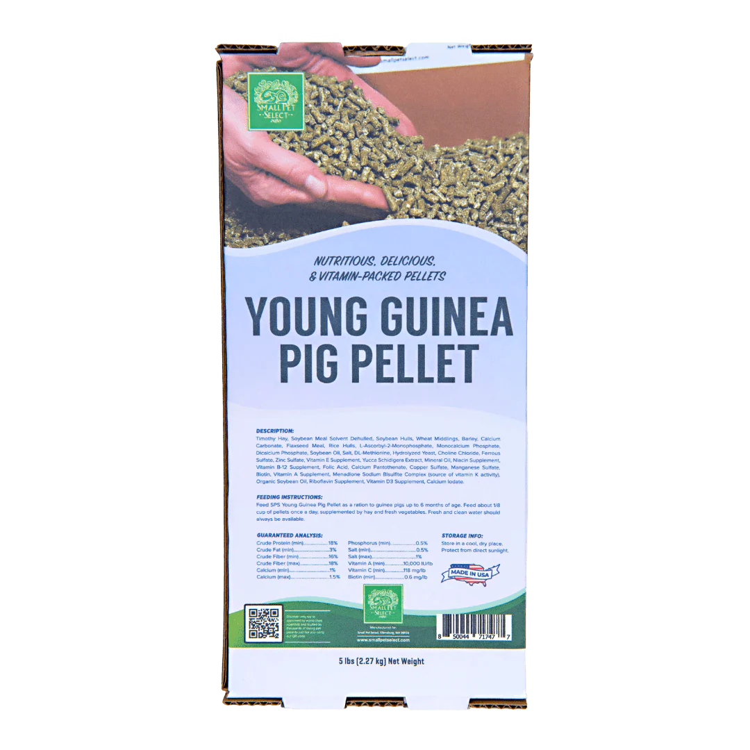 Young Guinea Pig Food Pellet