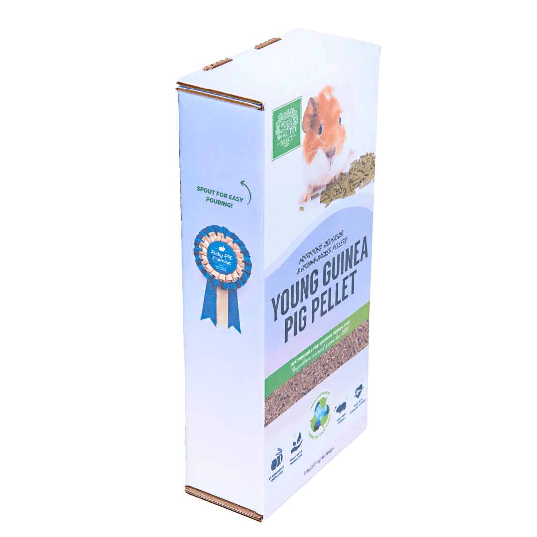Young Guinea Pig Food Pellet