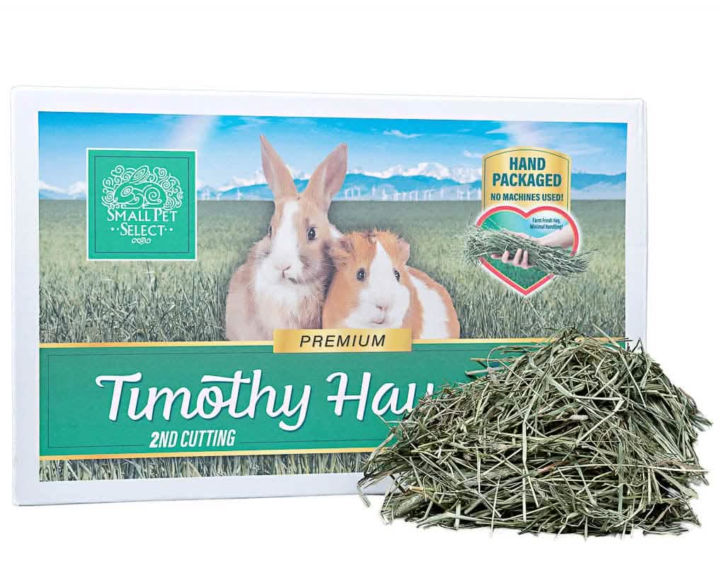 2nd Cutting Timothy Hay