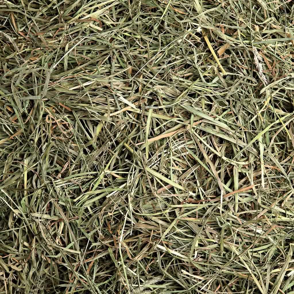 3rd Cutting Timothy Hay