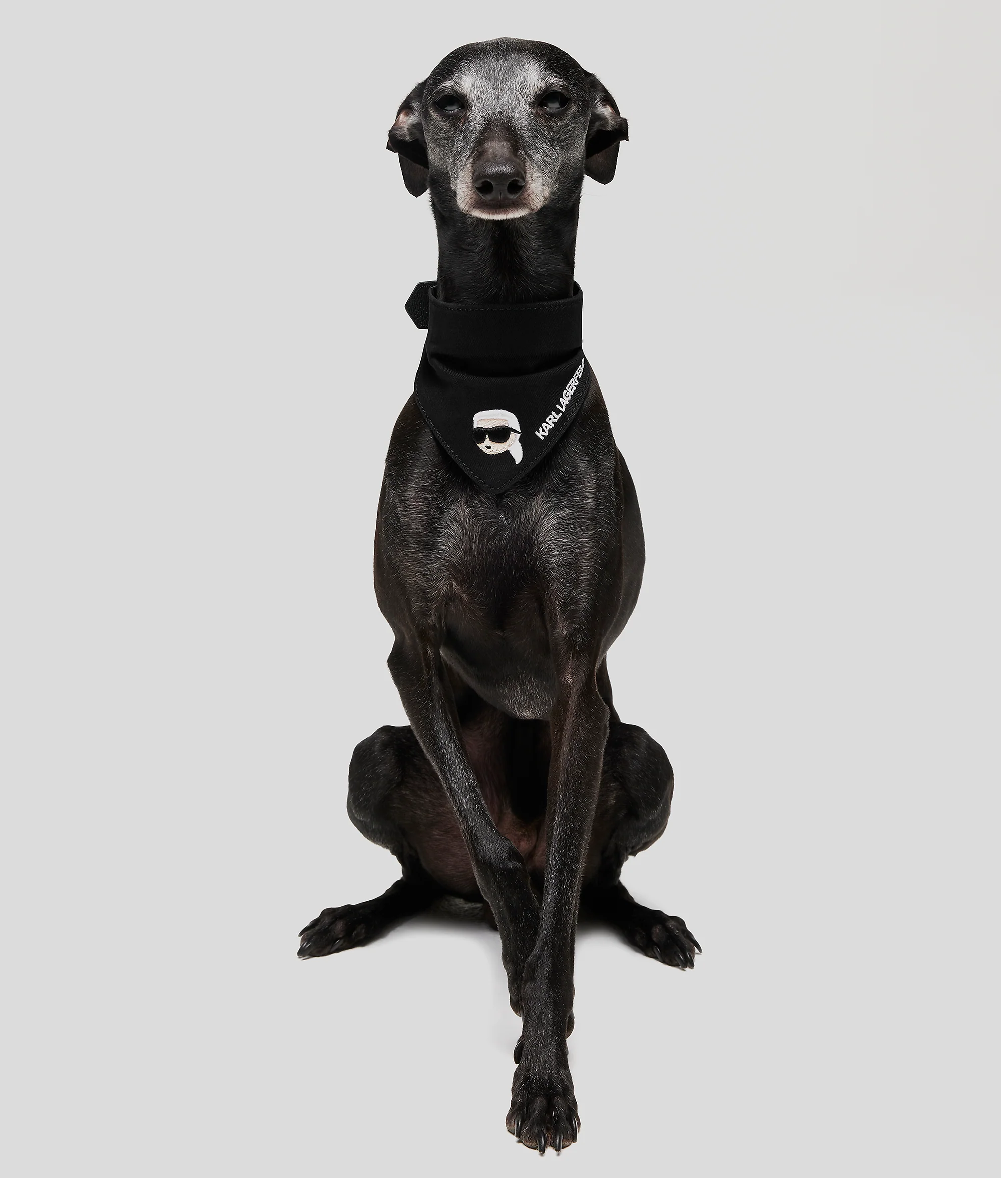 K/PET BANDANA