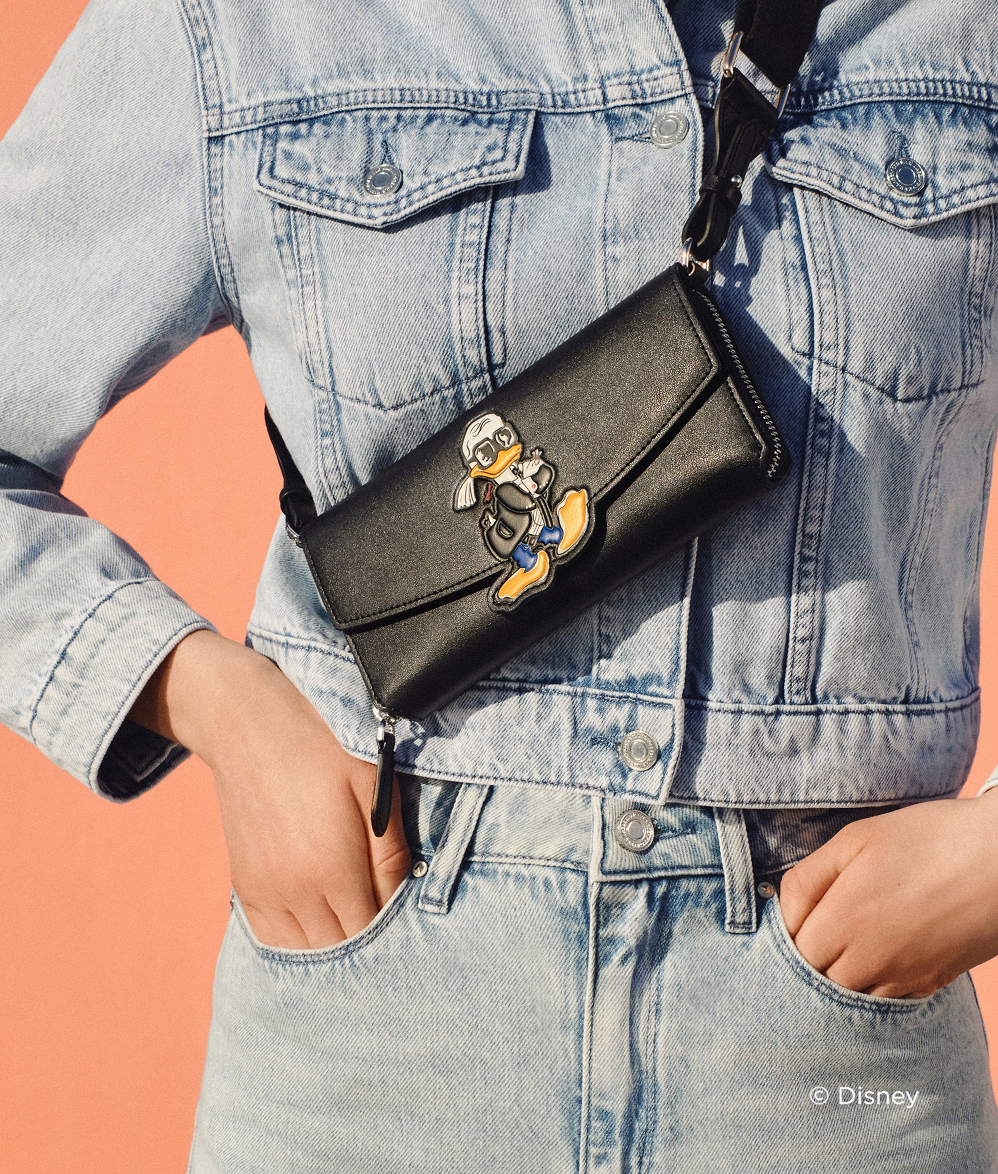 DISNEY X KL CROSSBODY WALLET