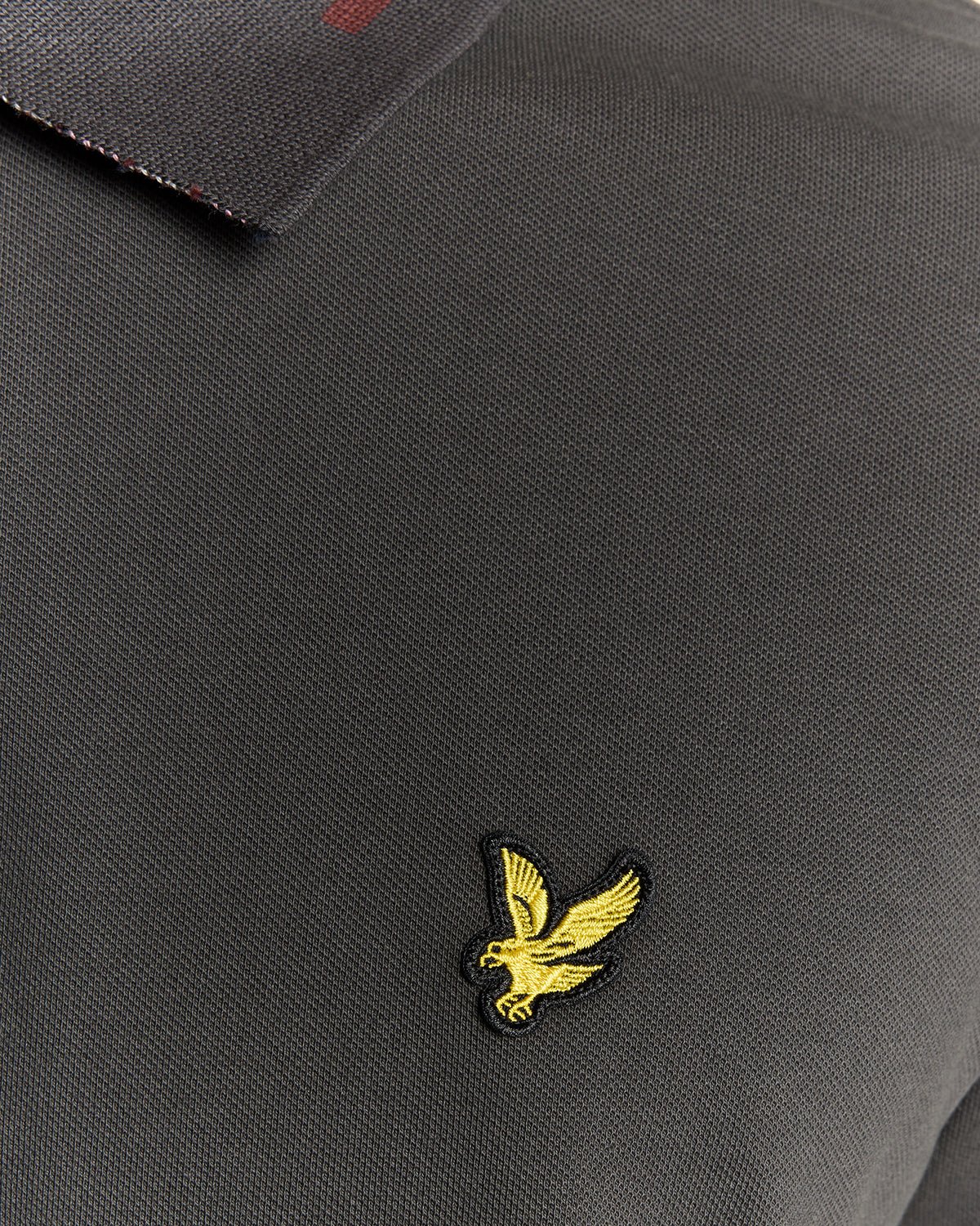 Striped Tipped Polo Shirt