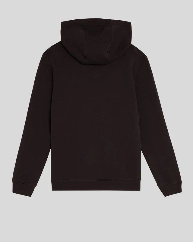 Brush Back Hoodie