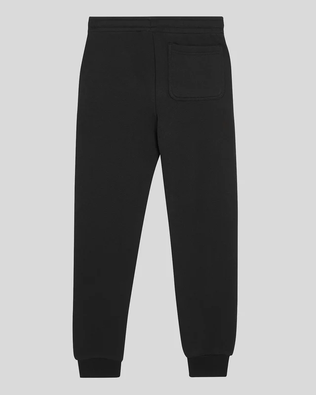 Brush Back Joggers