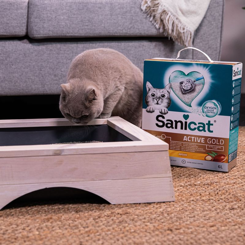 Sanicat Active Gold Clumping Cat Litter 6l