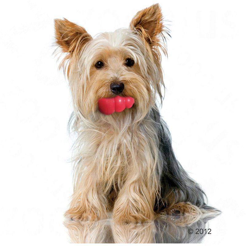 KONG Classic Red Extra Small