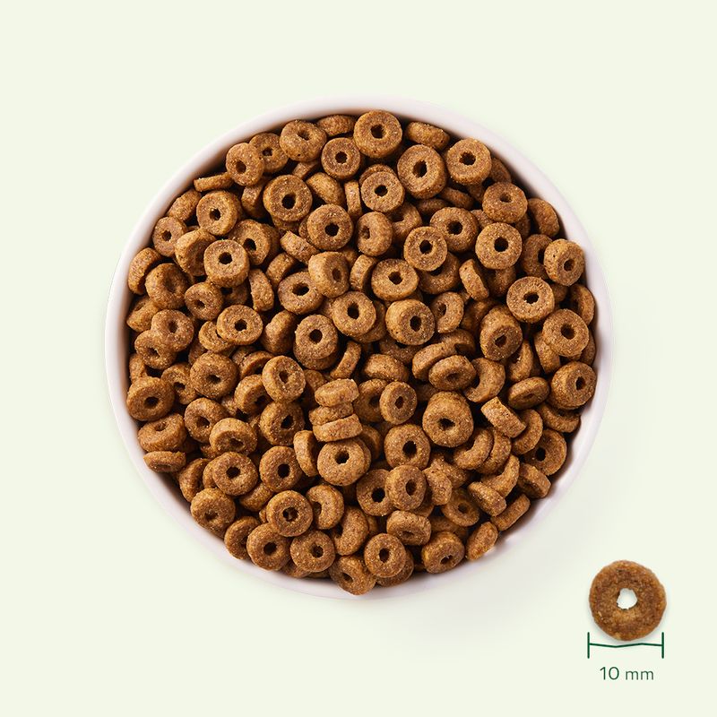 Yarrah Organic with Organic Chicken & Fish 800g