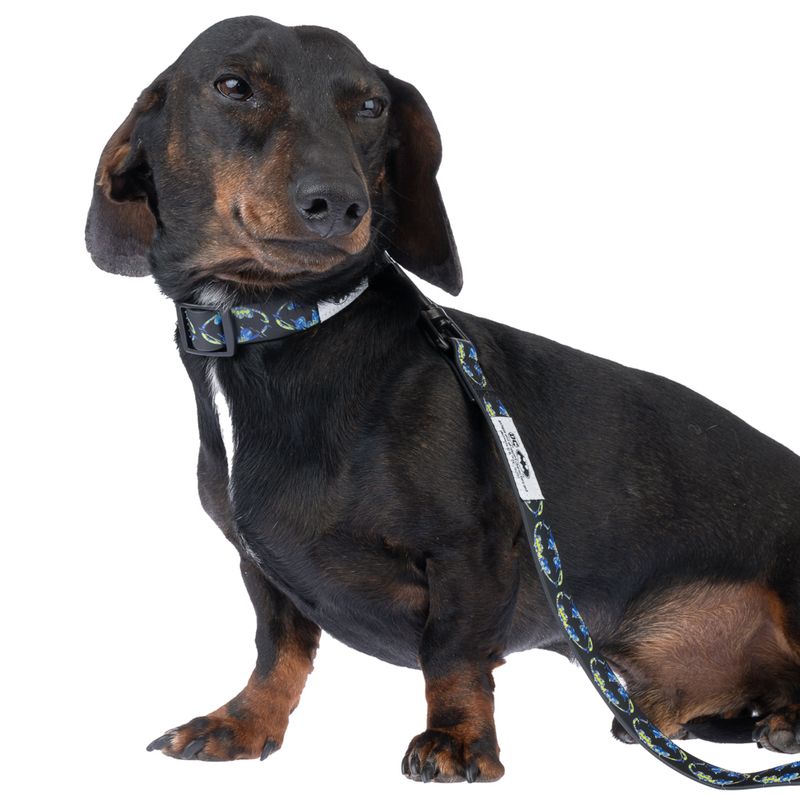 DC Batman Collar - Black Size S: Neck Circumference 25 - 36 cm, Width 20mm