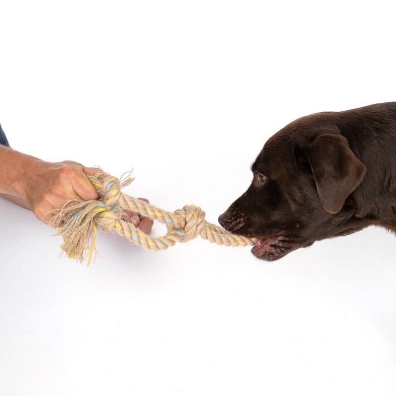 Modern Living Menorca Knot with Loop Rope Toy approx. 40 x 6 x 6 cm (L x W x H)