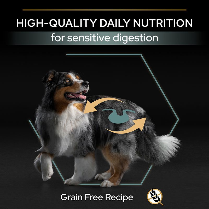 PURINA PRO PLAN Medium & Large Adult Sensitive Digestion Grain-free 12kg