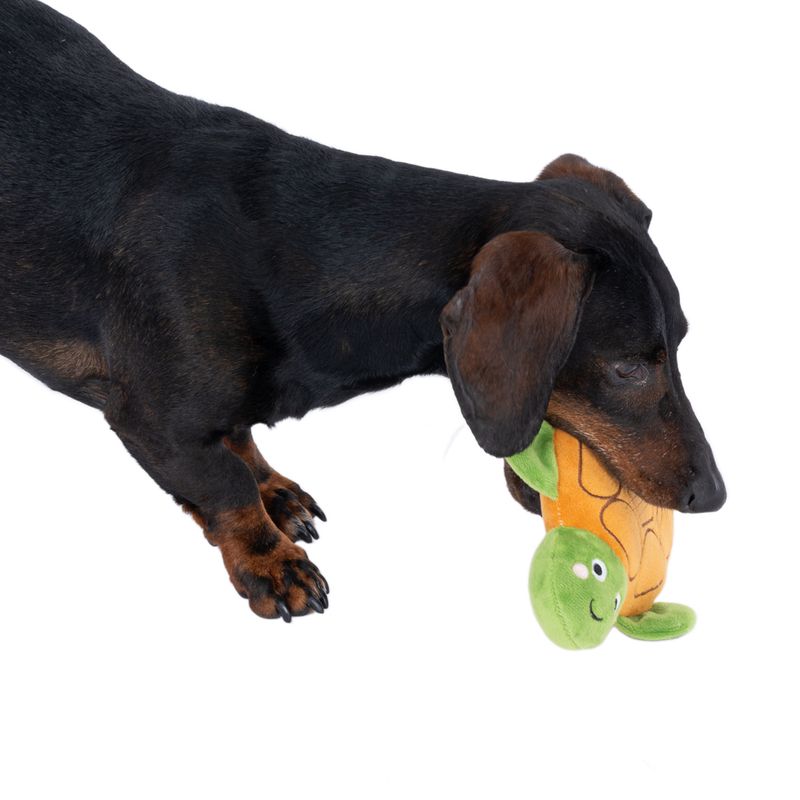 TIAKI Silent Squeaky Turtle 16.6 x 19.5 x 4.5 cm (L x W x H)