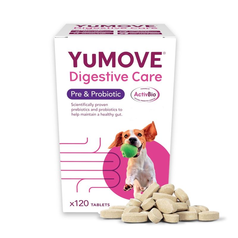 YuMOVE Digestive Care Pre- & Probiotic 120 Tablets