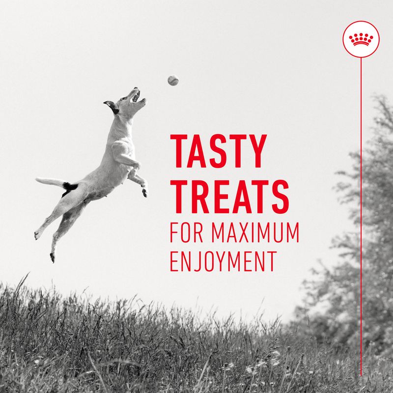 Royal Canin Training Treats 110g (120 pieces)