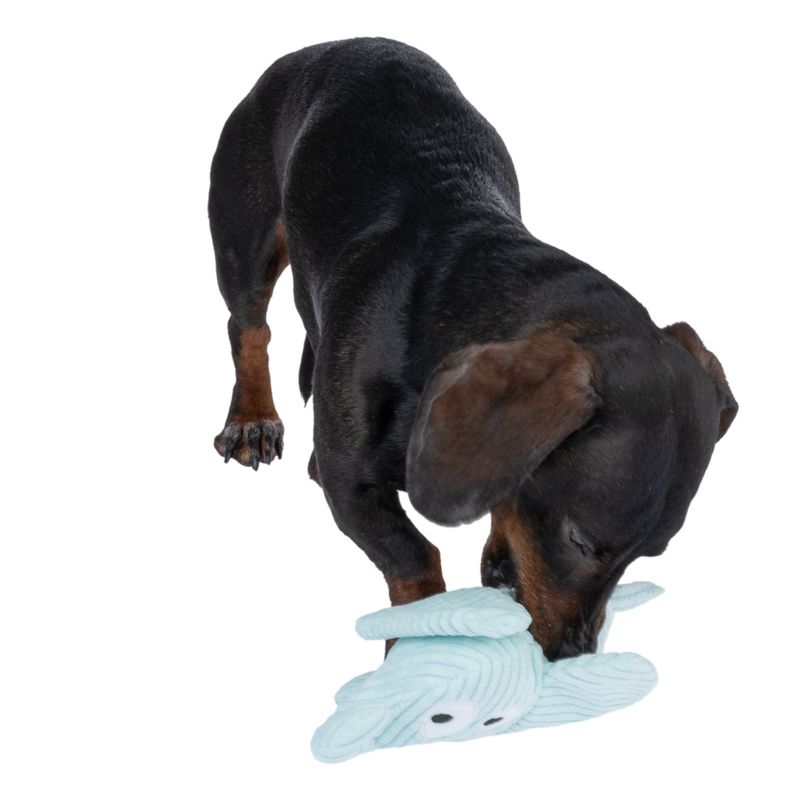 TIAKI Eli Corduroy Dog Toy 25 x 15 x 7cm (L x W x H)