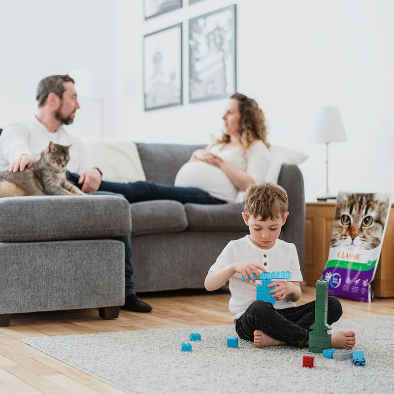 Intersand Classic Pine Forest Scented Cat Litter 14kg