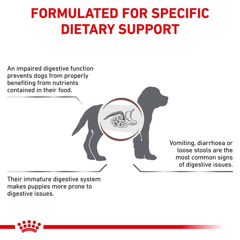 Royal Canin Veterinary Dog - Gastrointestinal Puppy 2.5kg
