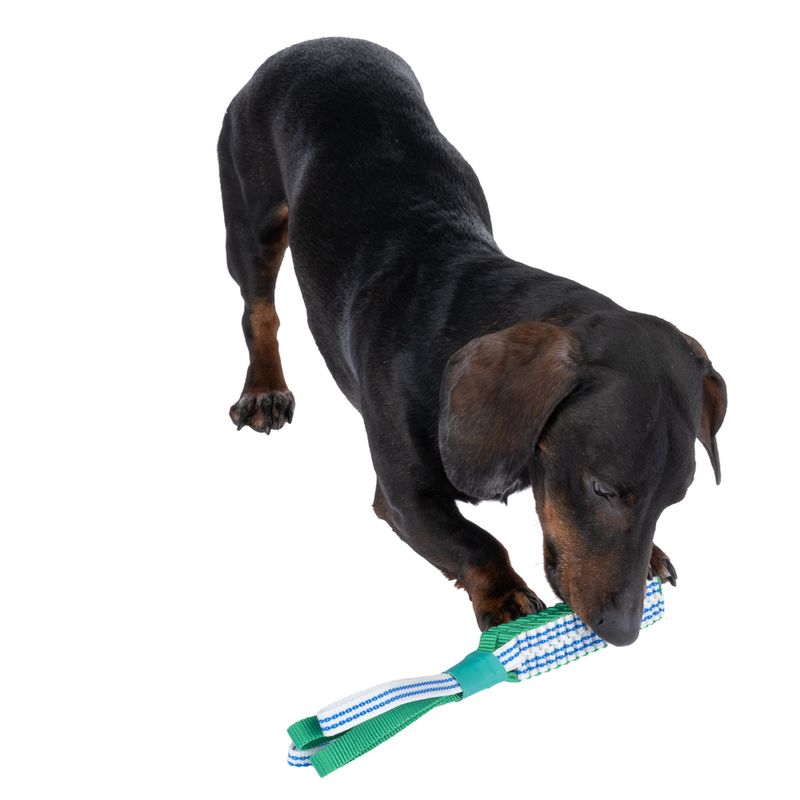 Nomad Tales Spirit Glow-in-the-Dark Braided Throwing Toy approx. 28 x 3 x 3 cm (L x W x H)