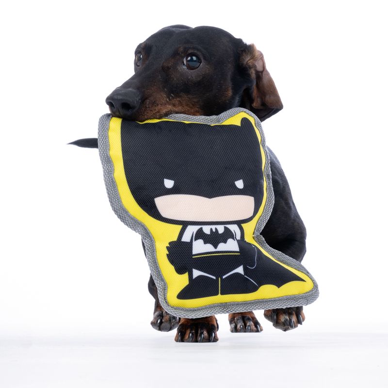 Warner Bros™ DC Batman Dog Toy 20 x 20 x 6 cm (L x W x H)
