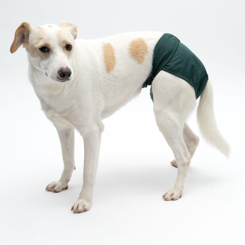 kooa Washable Nappy for Female Dogs Size XS