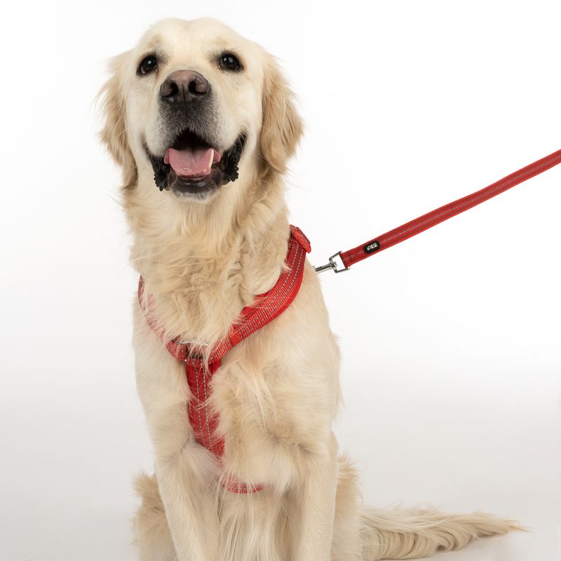 TIAKI Harness Neoprene - Red Size S: 32 - 56 cm chest circumference